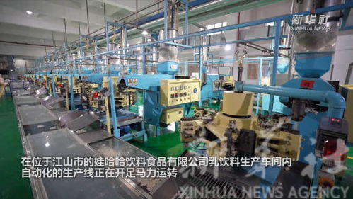 奮斗正當(dāng)時(shí) 浙江信息技術(shù)咨詢(xún)服務(wù)企業(yè)新春開(kāi)工忙，蓄力數(shù)字新程